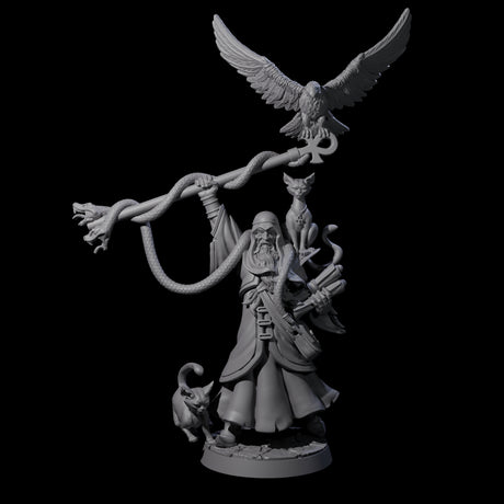 Shadowy Magi Advisor Miniature for Dungeons and Dragons, Pathfinder or other TTRPGs