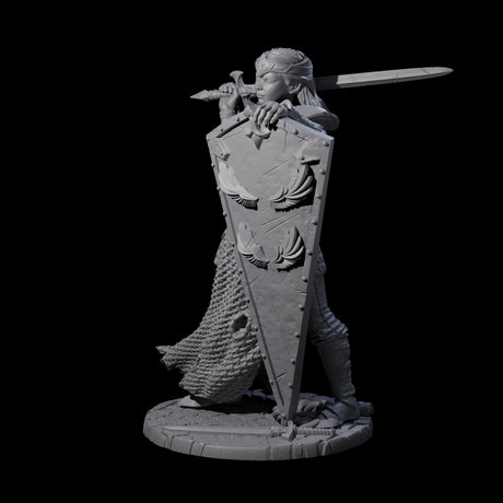 Shina - Royal Guard Fighter Miniature for Dungeons and Dragons, Pathfinder or other TTRPGs