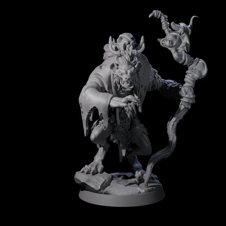 Sinister Gnoll Ruincaller Miniature for Dungeons and Dragons, Pathfinder or other TTRPGs