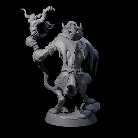 Sinister Gnoll Ruincaller Miniature for Dungeons and Dragons, Pathfinder or other TTRPGs