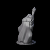 Sinister Human Necromancer Miniature for Dungeons and Dragons, Pathfinder or other TTRPGs