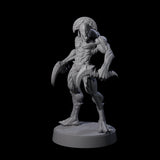 Sinuous Babau B Miniature for Dungeons and Dragons, Pathfinder or other TTRPGs