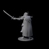Sir Balyn - Duel Sword Fighter Miniature for Dungeons and Dragons, Pathfinder or other TTRPGs
