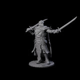 Sir Balyn - Duel Sword Fighter Miniature for Dungeons and Dragons, Pathfinder or other TTRPGs