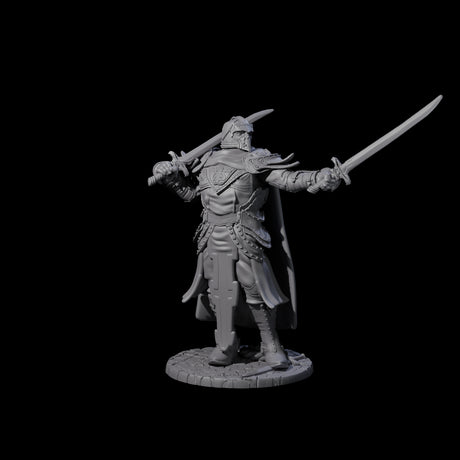Sir Balyn - Duel Sword Fighter Miniature for Dungeons and Dragons, Pathfinder or other TTRPGs