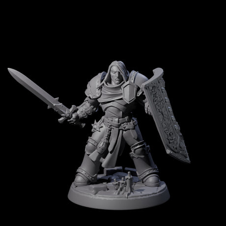 Six Determined Paladin Warriors Miniature for Dungeons and Dragons, Pathfinder or other TTRPGs