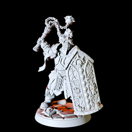 Six Human Paladins - Army Miniature for Dungeons and Dragons, Pathfinder or other TTRPGs
