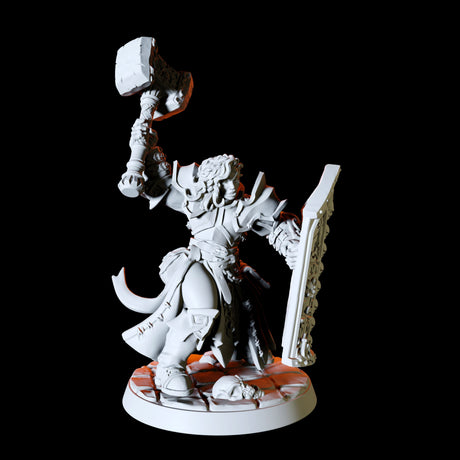 Six Human Paladins - Army Miniature for Dungeons and Dragons, Pathfinder or other TTRPGs