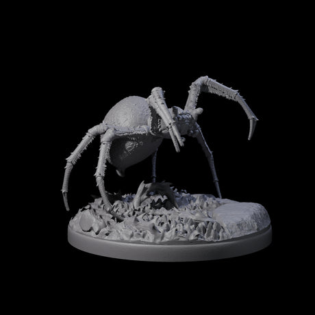Skittering Cave Spider A Miniature for Dungeons and Dragons, Pathfinder or other TTRPGs