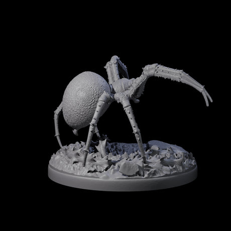 Skittering Cave Spider A Miniature for Dungeons and Dragons, Pathfinder or other TTRPGs
