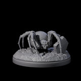 Skittering Cave Spider B Miniature for Dungeons and Dragons, Pathfinder or other TTRPGs