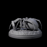 Skittering Cave Spider B Miniature for Dungeons and Dragons, Pathfinder or other TTRPGs