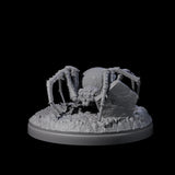 Skittering Cave Spider B Miniature for Dungeons and Dragons, Pathfinder or other TTRPGs