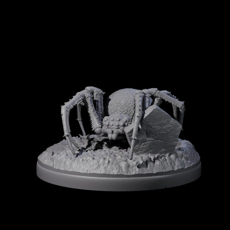 Skittering Cave Spider B Miniature for Dungeons and Dragons, Pathfinder or other TTRPGs