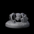 Skittering Cave Spider B Miniature for Dungeons and Dragons, Pathfinder or other TTRPGs