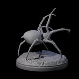 Skittering Cave Spider C Miniature for Dungeons and Dragons, Pathfinder or other TTRPGs