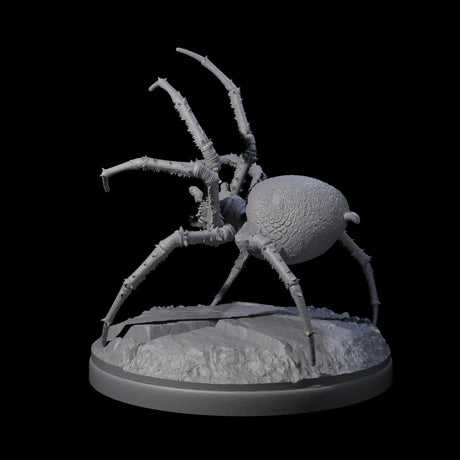 Skittering Cave Spider C Miniature for Dungeons and Dragons, Pathfinder or other TTRPGs
