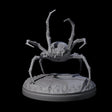 Skittering Cave Spider C Miniature for Dungeons and Dragons, Pathfinder or other TTRPGs