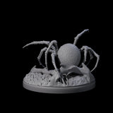 Skittering Cave Spider D Miniature for Dungeons and Dragons, Pathfinder or other TTRPGs