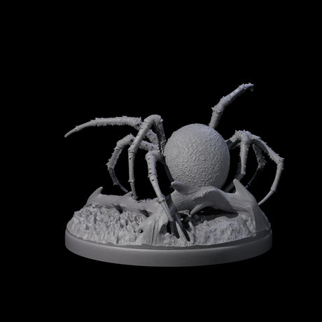 Skittering Cave Spider D Miniature for Dungeons and Dragons, Pathfinder or other TTRPGs