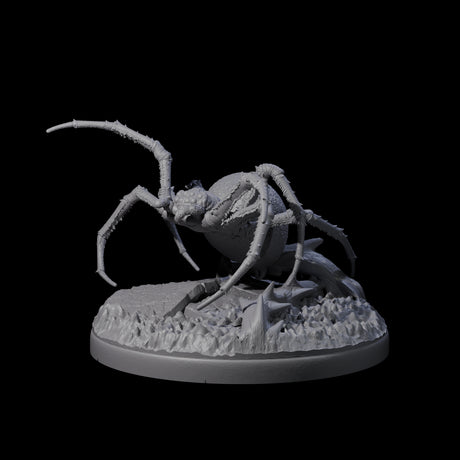 Skittering Cave Spider D Miniature for Dungeons and Dragons, Pathfinder or other TTRPGs