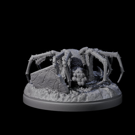 Skittering Cave Spider E Miniature for Dungeons and Dragons, Pathfinder or other TTRPGs
