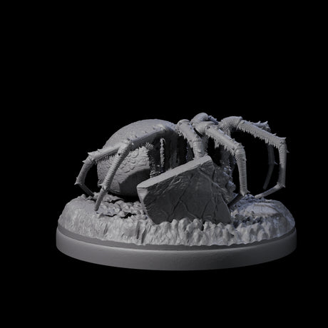 Skittering Cave Spider E Miniature for Dungeons and Dragons, Pathfinder or other TTRPGs