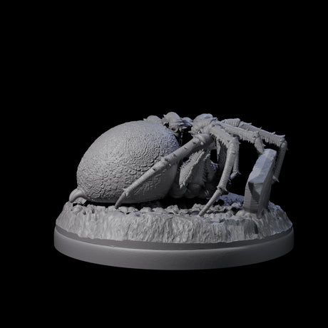 Skittering Cave Spider E Miniature for Dungeons and Dragons, Pathfinder or other TTRPGs
