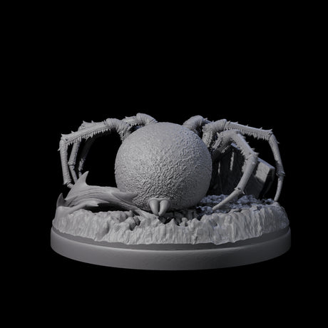 Skittering Cave Spider E Miniature for Dungeons and Dragons, Pathfinder or other TTRPGs