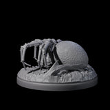 Skittering Cave Spider E Miniature for Dungeons and Dragons, Pathfinder or other TTRPGs