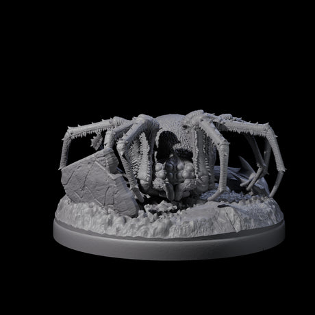 Skittering Cave Spider E Miniature for Dungeons and Dragons, Pathfinder or other TTRPGs
