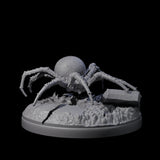 Skittering Cave Spider F Miniature for Dungeons and Dragons, Pathfinder or other TTRPGs