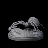 Skittering Cave Spider F Miniature for Dungeons and Dragons, Pathfinder or other TTRPGs