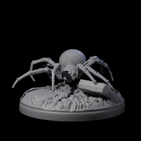 Skittering Cave Spider F Miniature for Dungeons and Dragons, Pathfinder or other TTRPGs