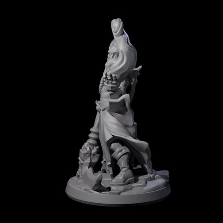 Skull Wielding Necromancer Miniature for Dungeons and Dragons, Pathfinder or other TTRPGs