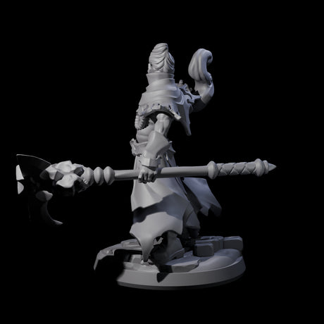 Skull Wielding Necromancer Miniature for Dungeons and Dragons, Pathfinder or other TTRPGs
