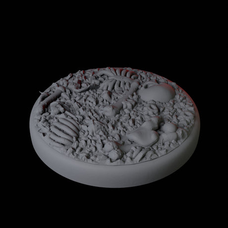 Skull and Bones Base Pack - 25mm Circles Miniature for Dungeons and Dragons, Pathfinder or other TTRPGs