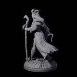 Slightly Unhinged Elf Druid Miniature for Dungeons and Dragons, Pathfinder or other TTRPGs
