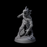 Slimy Lizardfolk Zombie B Miniature for Dungeons and Dragons, Pathfinder or other TTRPGs