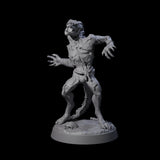 Slimy Lizardfolk Zombie E Miniature for Dungeons and Dragons, Pathfinder or other TTRPGs