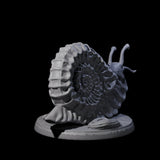 Sluggish Giant Snail B Miniature for Dungeons and Dragons, Pathfinder or other TTRPGs