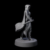 Snake Charmer Elf Rogue Miniature for Dungeons and Dragons, Pathfinder or other TTRPGs