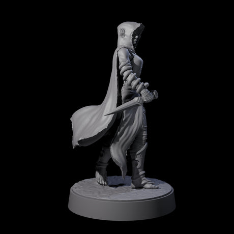 Snake Charmer Elf Rogue Miniature for Dungeons and Dragons, Pathfinder or other TTRPGs