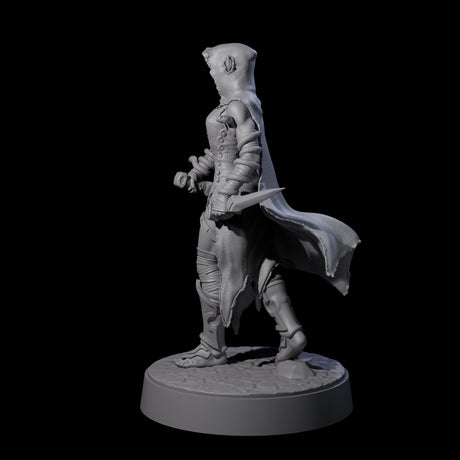 Snake Charmer Elf Rogue Miniature for Dungeons and Dragons, Pathfinder or other TTRPGs