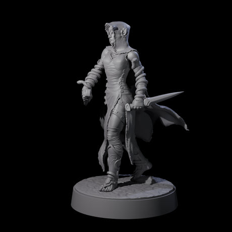 Snake Charmer Elf Rogue Miniature for Dungeons and Dragons, Pathfinder or other TTRPGs