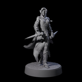 Snake Charmer Elf Rogue Miniature for Dungeons and Dragons, Pathfinder or other TTRPGs