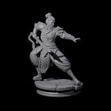 Snakey Monk Miniature for Dungeons and Dragons, Pathfinder or other TTRPGs