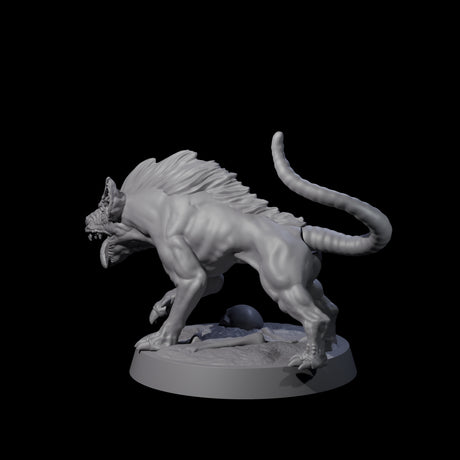 Snarling Goblin Dog B Miniature for Dungeons and Dragons, Pathfinder or other TTRPGs
