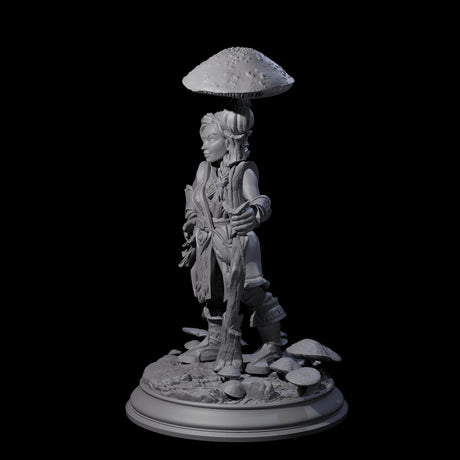 Snazzy Herbalist Miniature for Dungeons and Dragons, Pathfinder or other TTRPGs
