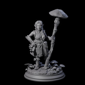 Snazzy Herbalist Miniature for Dungeons and Dragons, Pathfinder or other TTRPGs